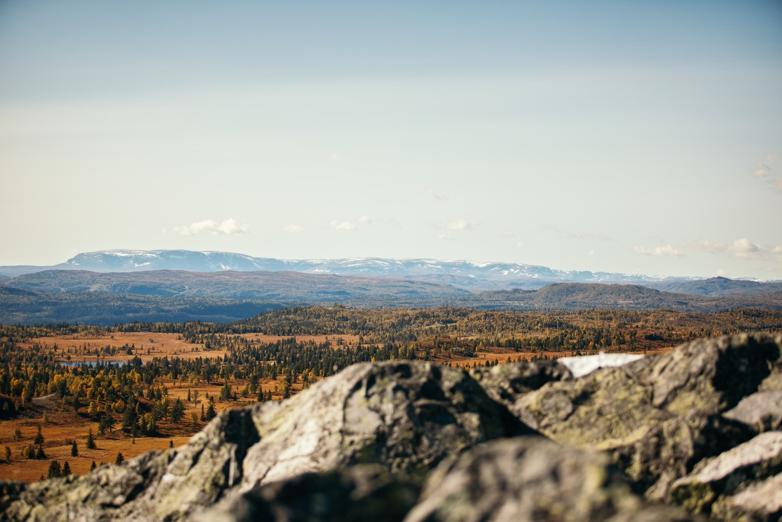 Høst på fjellet. Galleribilde