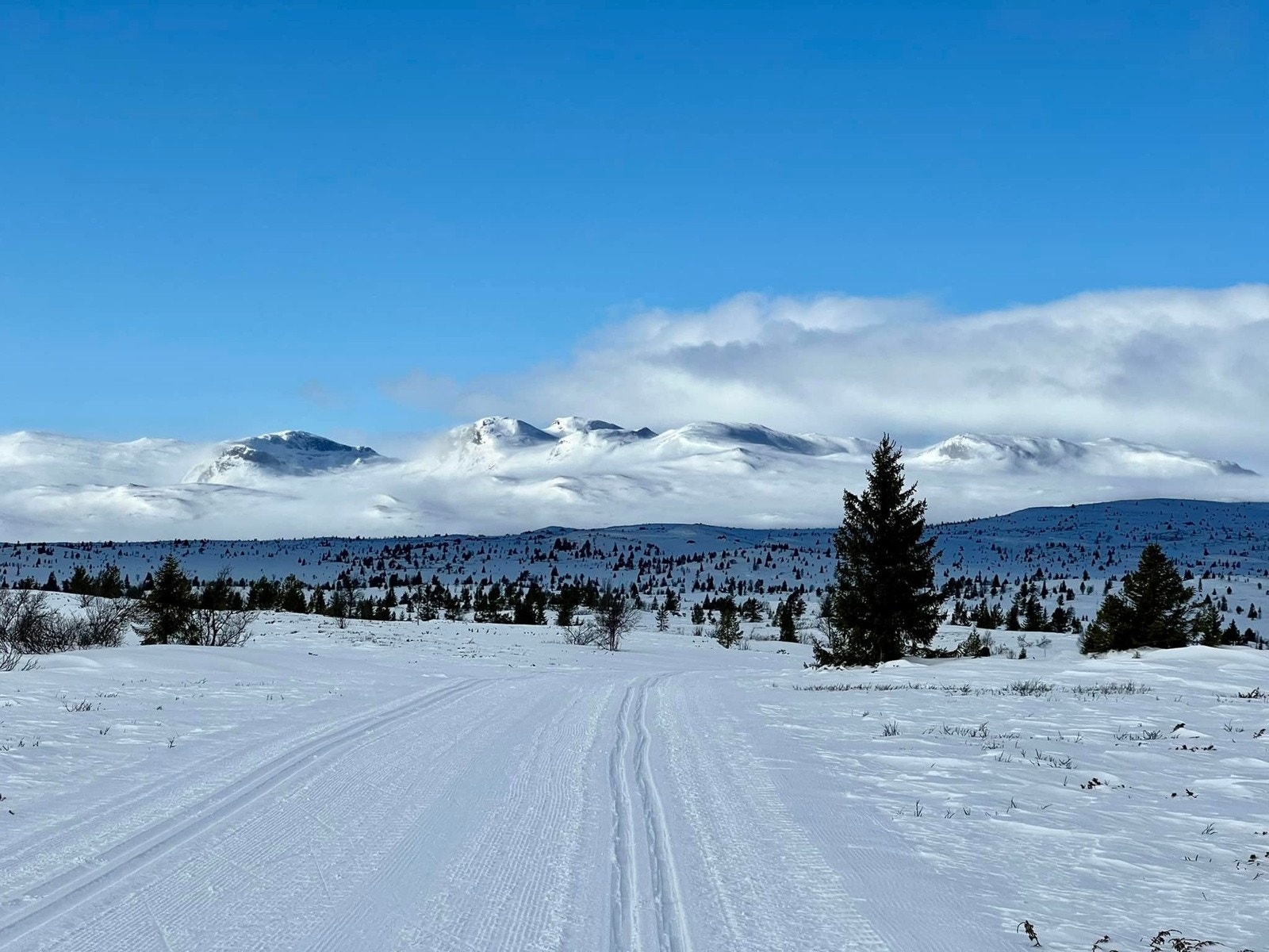 Her er det bare å spenne på seg skiene rett i hytteveggen og begi seg ut på et eventyrlig løypenett på høyfjellet. Galleribilde