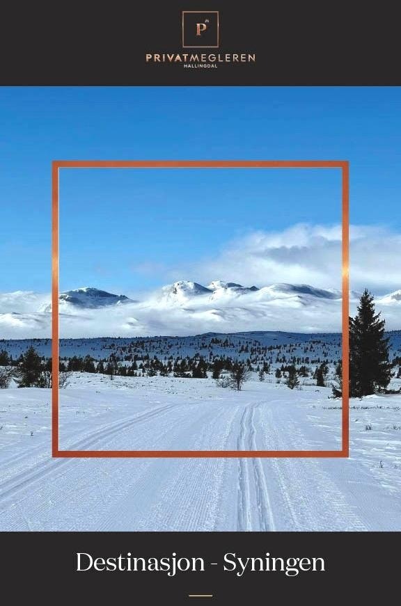 Destinasjon Galleribilde