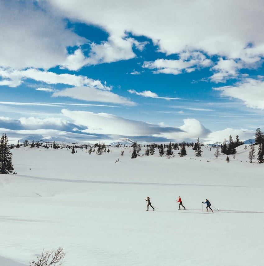 Vinterparadis! Galleribilde