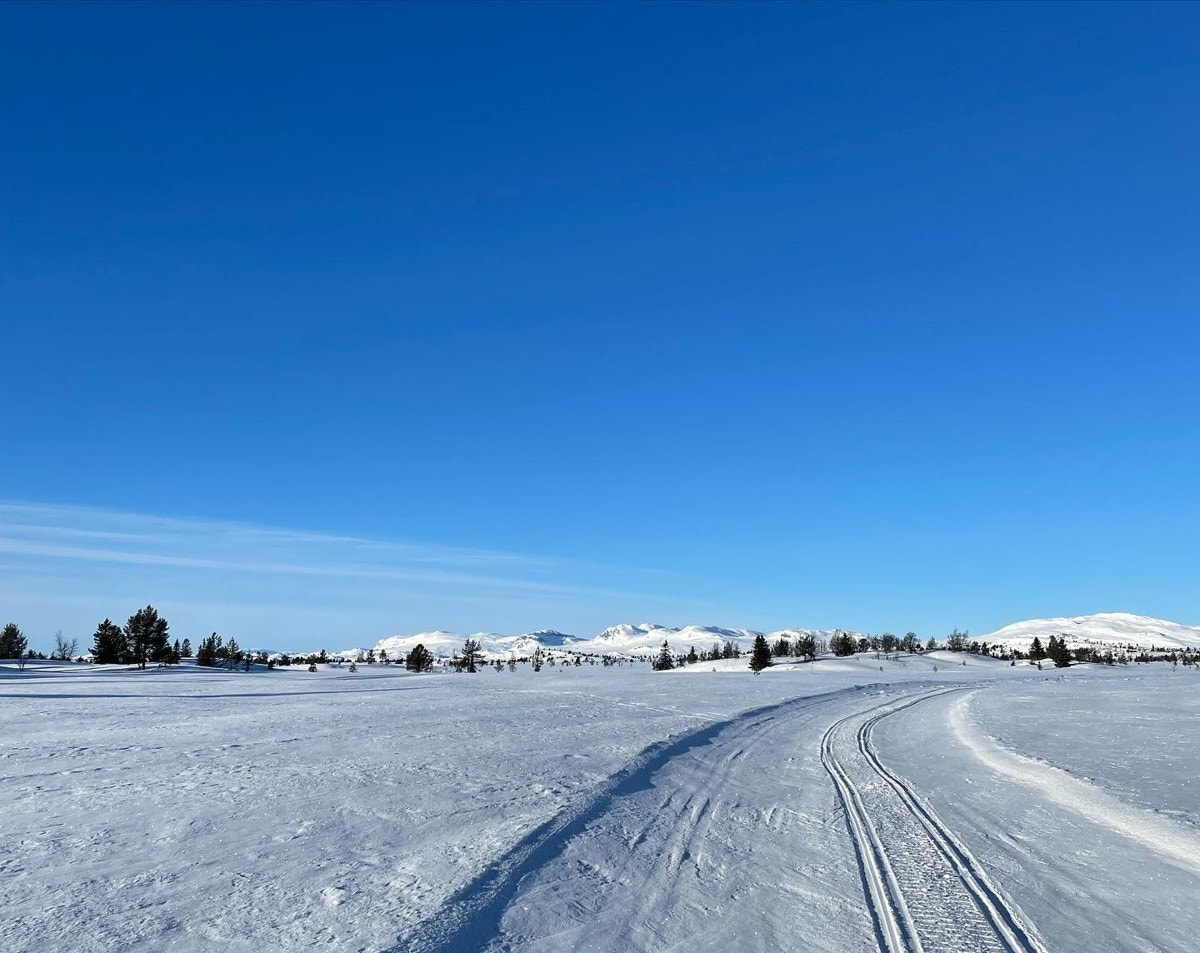 Vinterparadis! Galleribilde