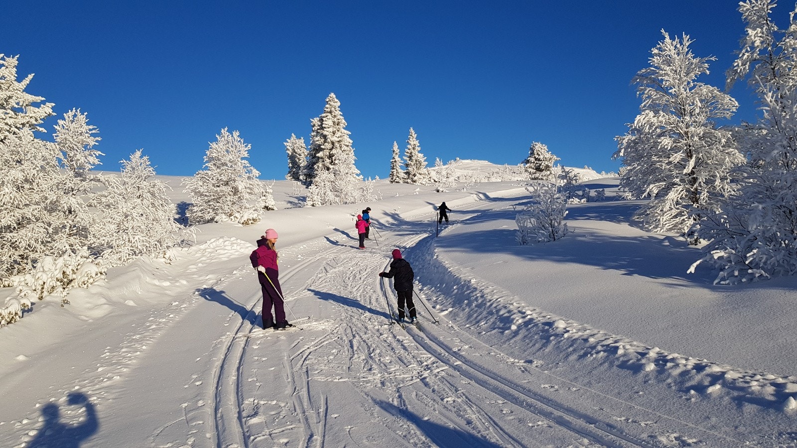 Flotte løyper for hele familien. Galleribilde