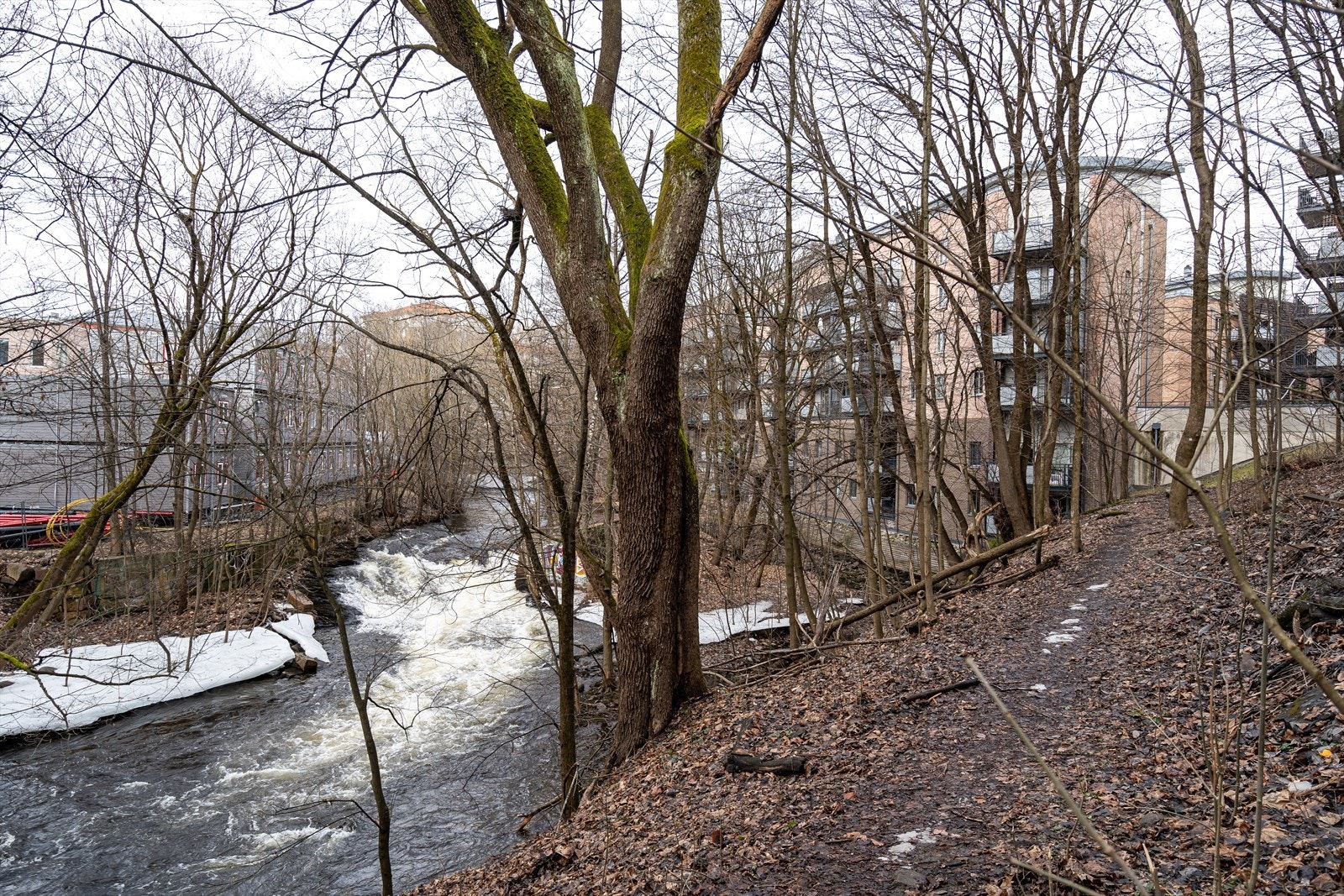 Flere grøntarealer rundt omkring i kompleksets nærområde Galleribilde