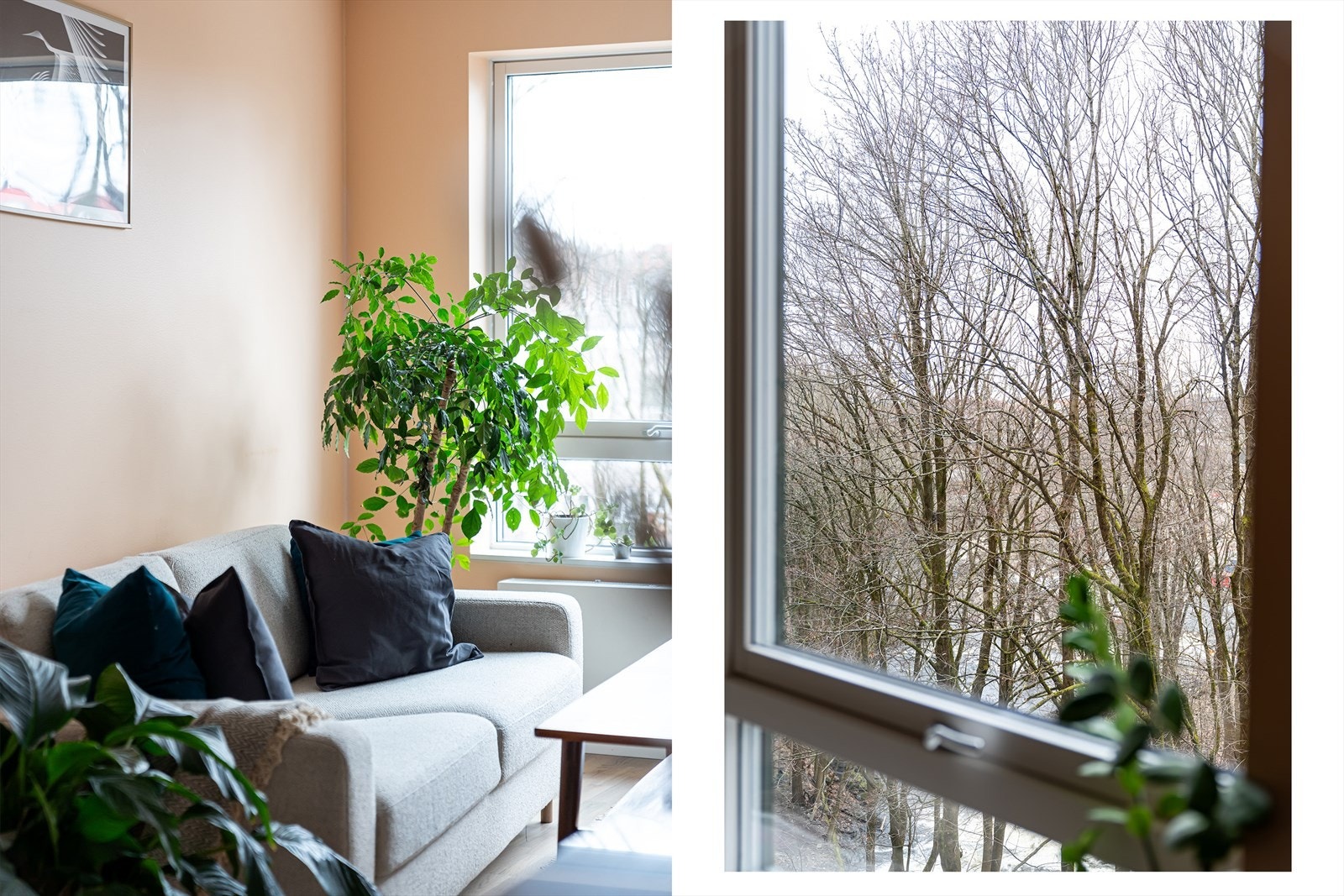 Utsikt fra stuen, ned mot vakre trær og rolige naturområder. Her ligger du svært skjermet til. Galleribilde