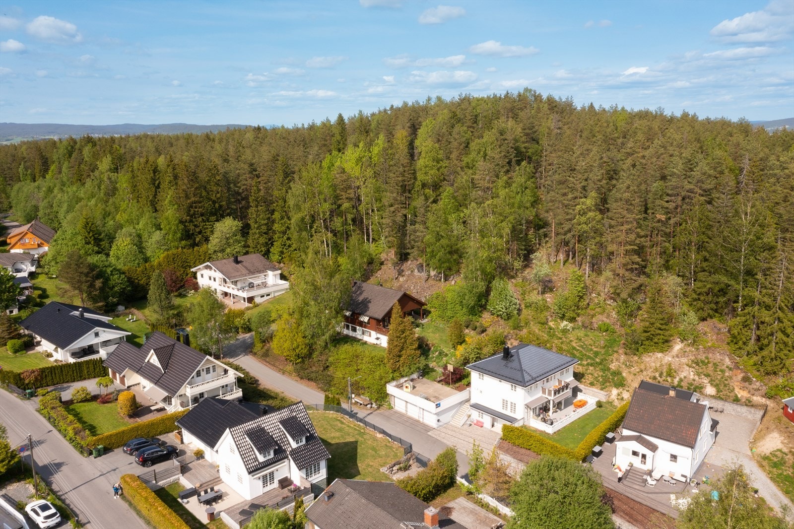 Områdebilde Galleribilde