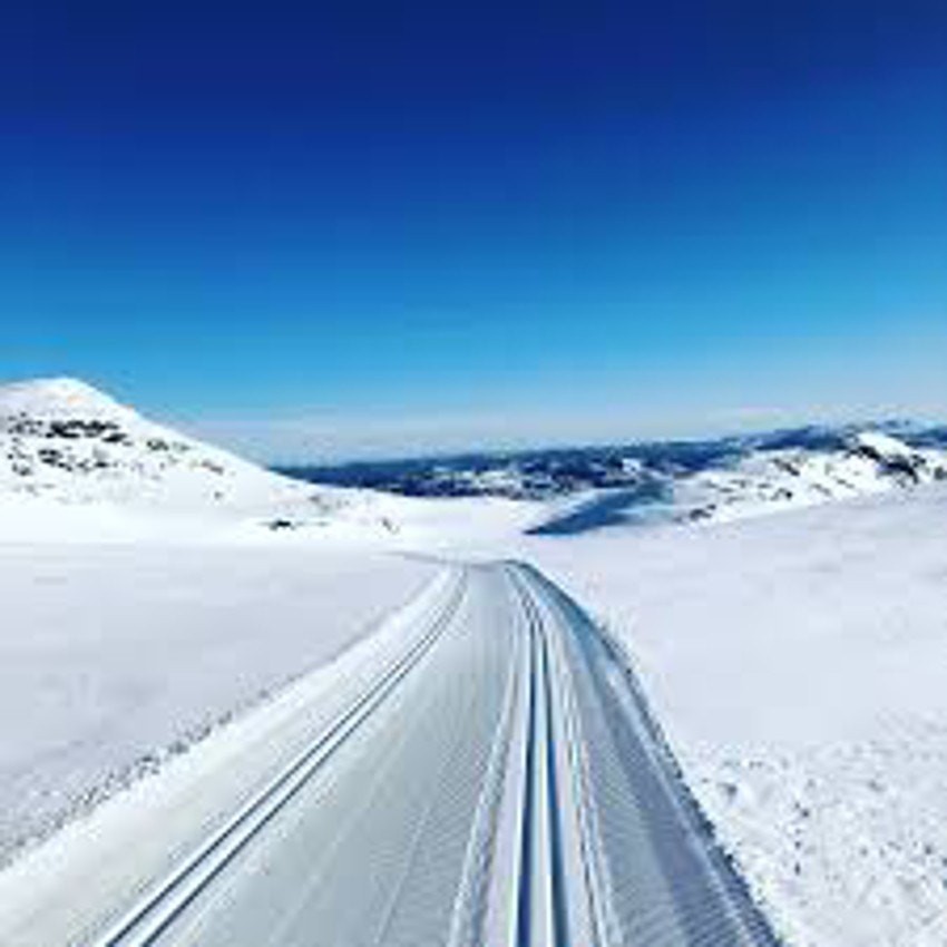 Det er ca. 30 km til Flå sentrum hvor du finner dagligvareforretninger, spisesteder, diverse butikker samt populære Bjørneparken. Galleribilde