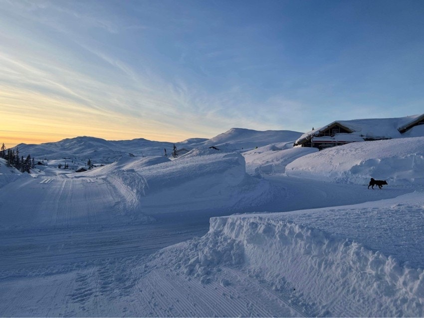 Velkommen til en hyggelig visning! Galleribilde