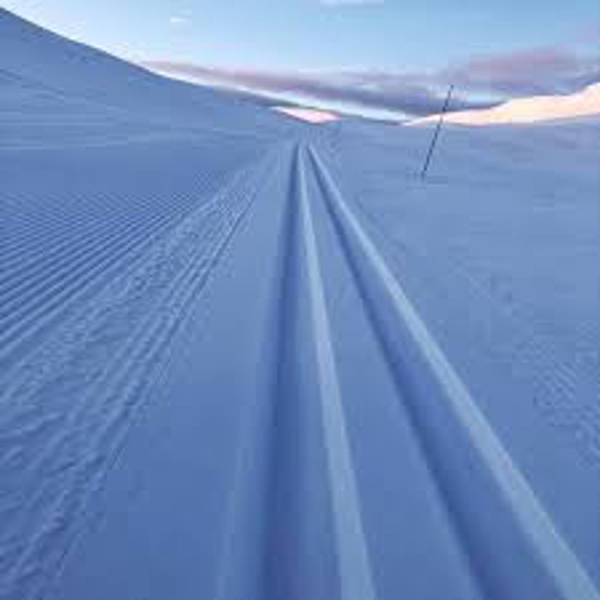 Flotte, preparerte skiløyper like ved aktuell tomt. Galleribilde