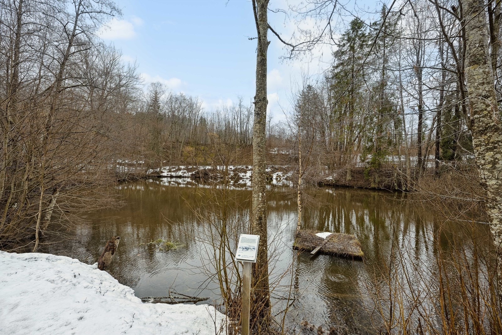 Fredet område vis a vis boligen. Galleribilde