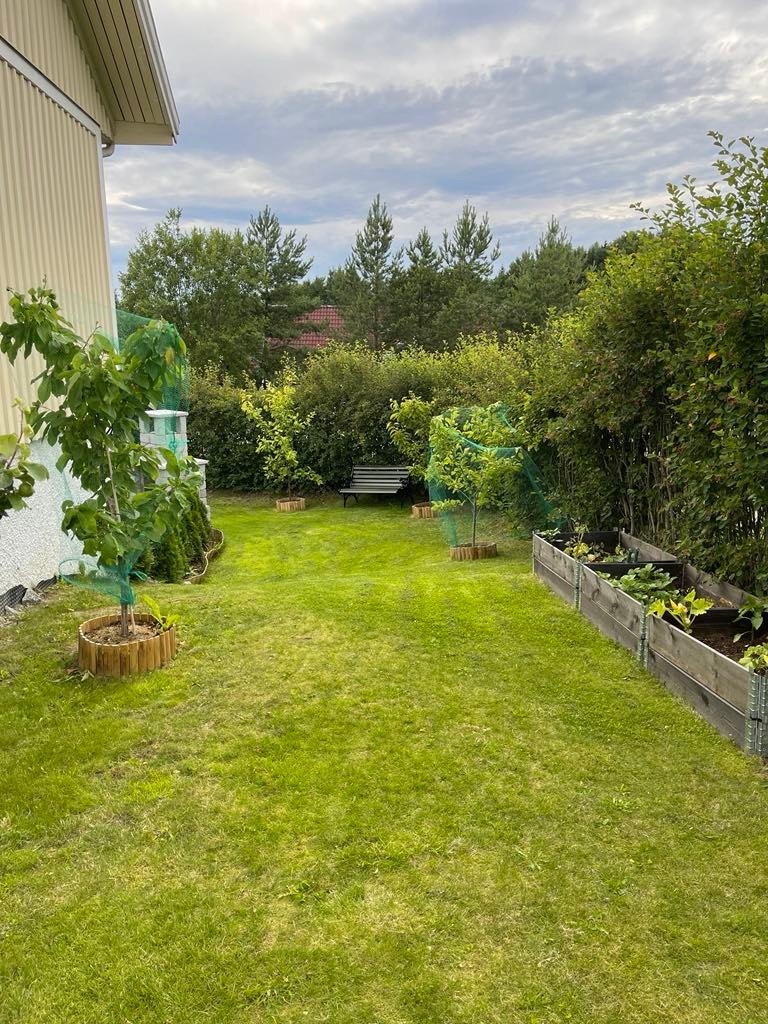 Bildet viser hvordan hagen ser ut på sommerstid. Galleribilde