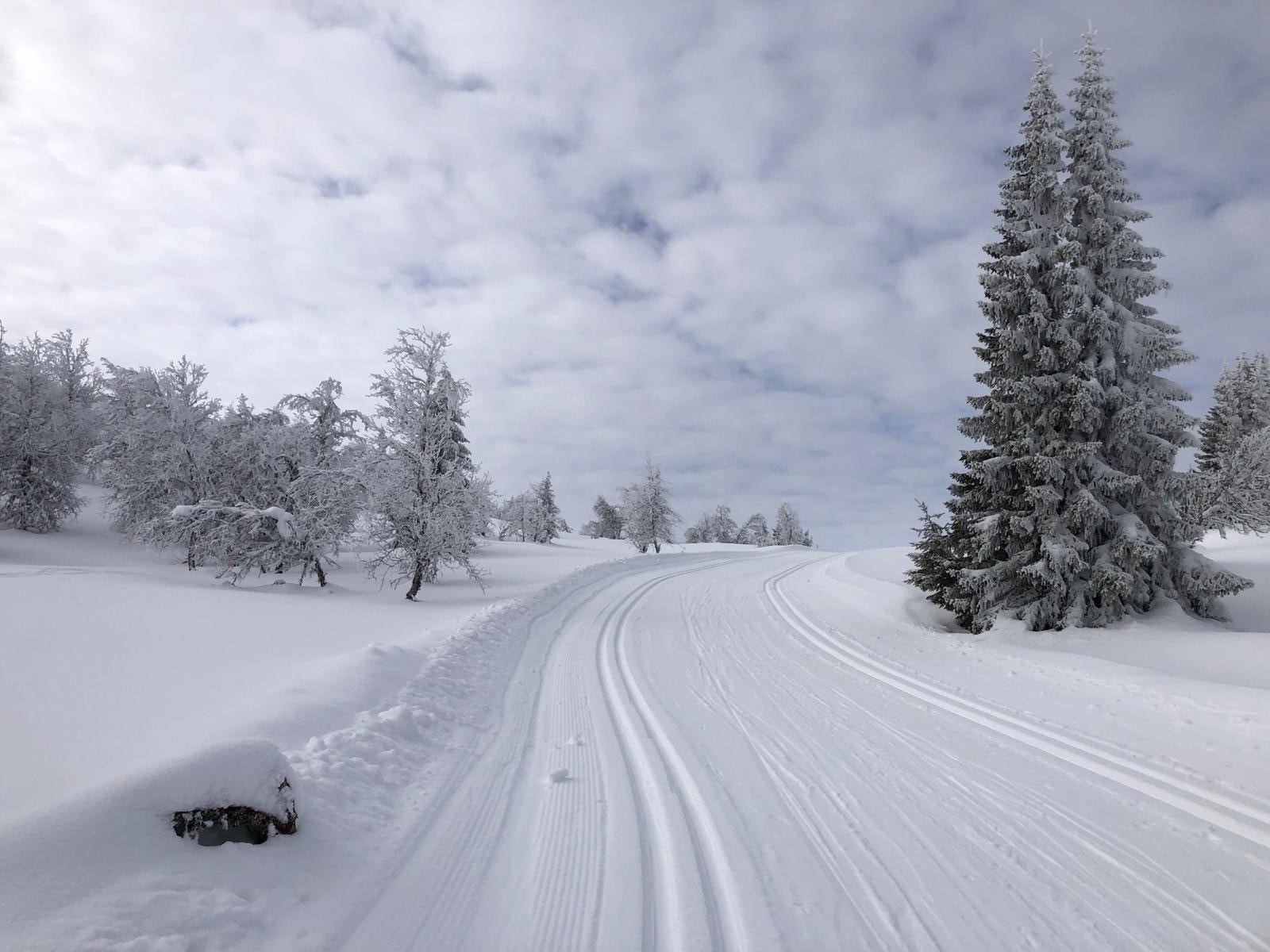 Skiløyper fra området Galleribilde