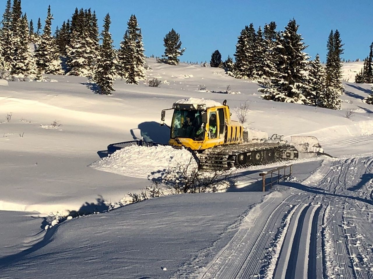 Løypekjøring, feltet er tilknyttet hovedløypene Galleribilde