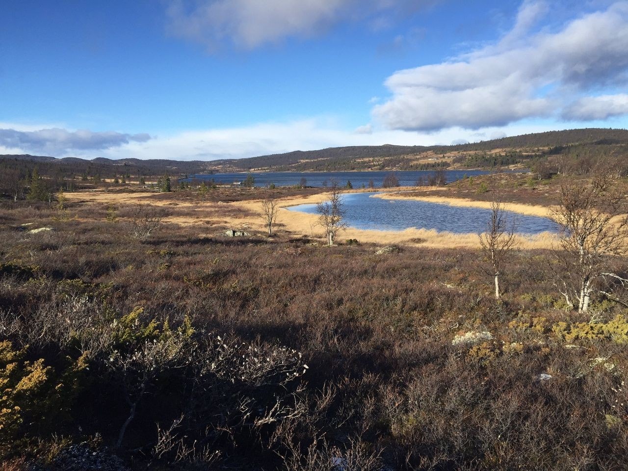 Høst i nærområdet Galleribilde