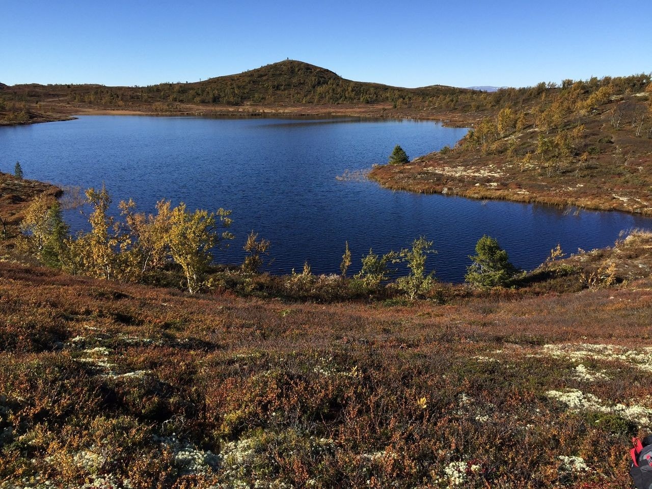 Høst i nærområdet Galleribilde
