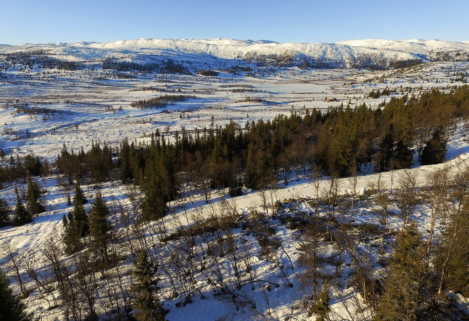 Aktiviteter som langrenn, sykkelturer, fisking og gåturer i fjellet på merkede turstier gjør dette området ypperlig for alle og enhver, både sommer som vinter. Galleribilde