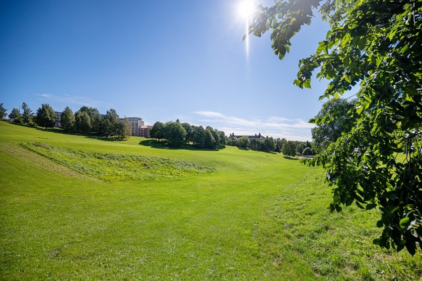 Like i nærheten vil du finne Torshovdalen, hvor man har kjempefine tur- og grøntomrpder på sommerstid og akebakker på vinteren. Galleribilde