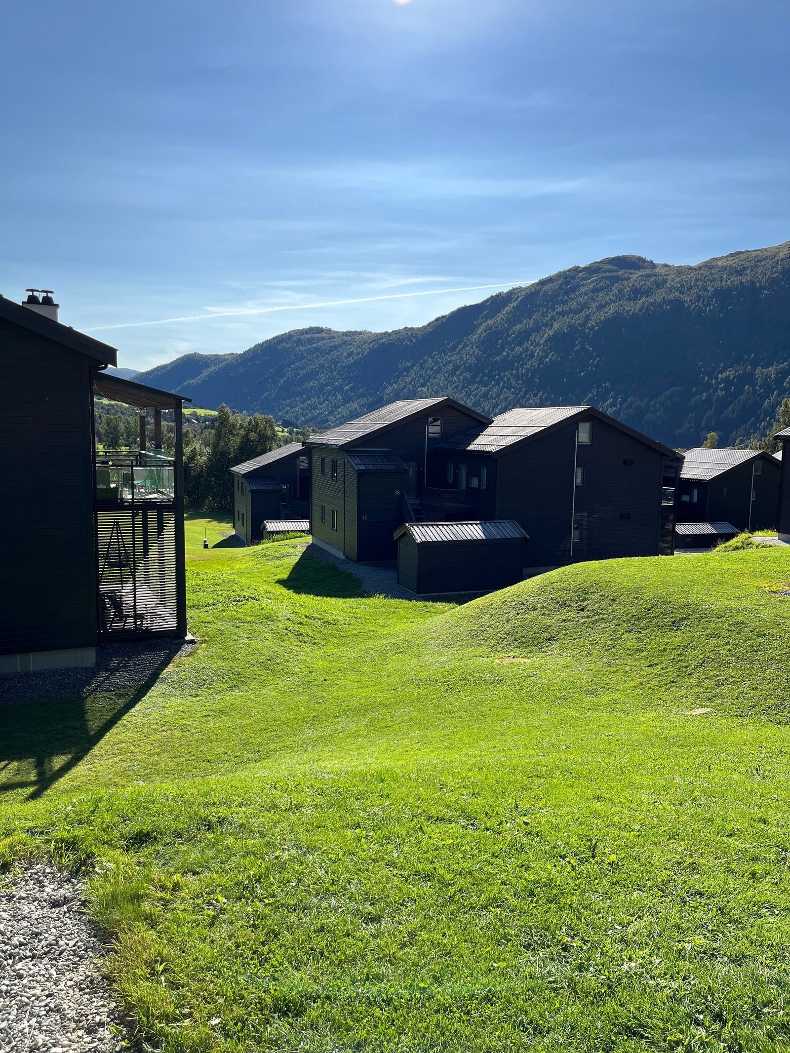 Velholdt nærområde og felles robotgressklipper i sameiet Galleribilde