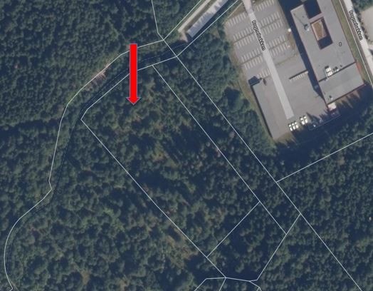 Bilde 3.JPG Galleribilde