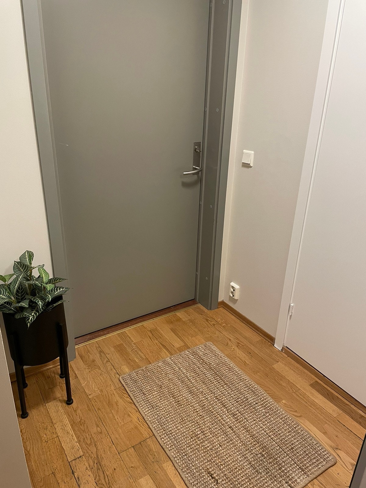 Inngangsdør med liten gang, dør til bad på venstre side. Galleribilde