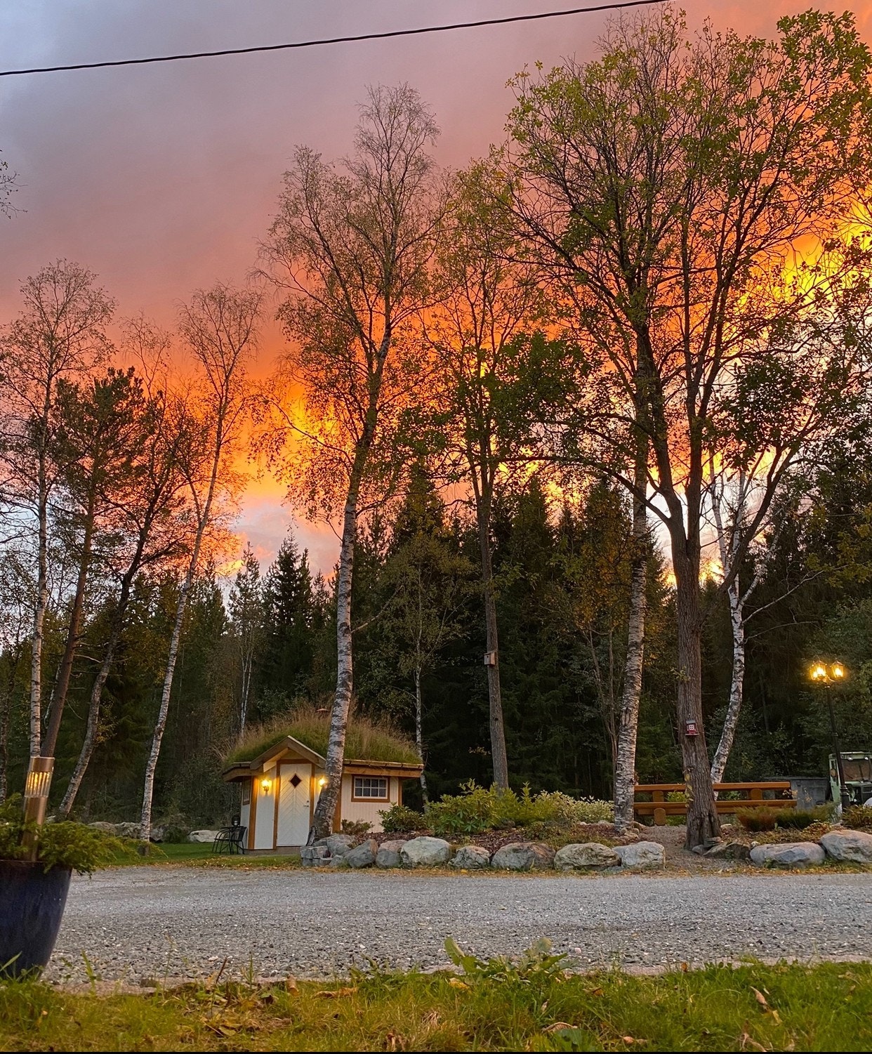 Utsikten fra leiligheten Galleribilde