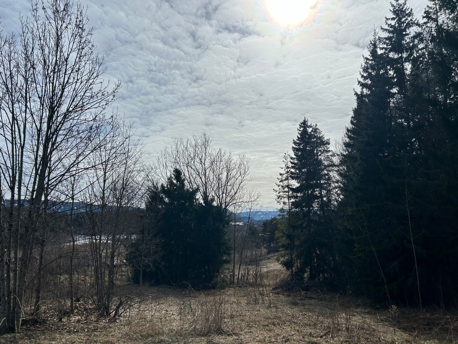 Nye bilder Galleribilde