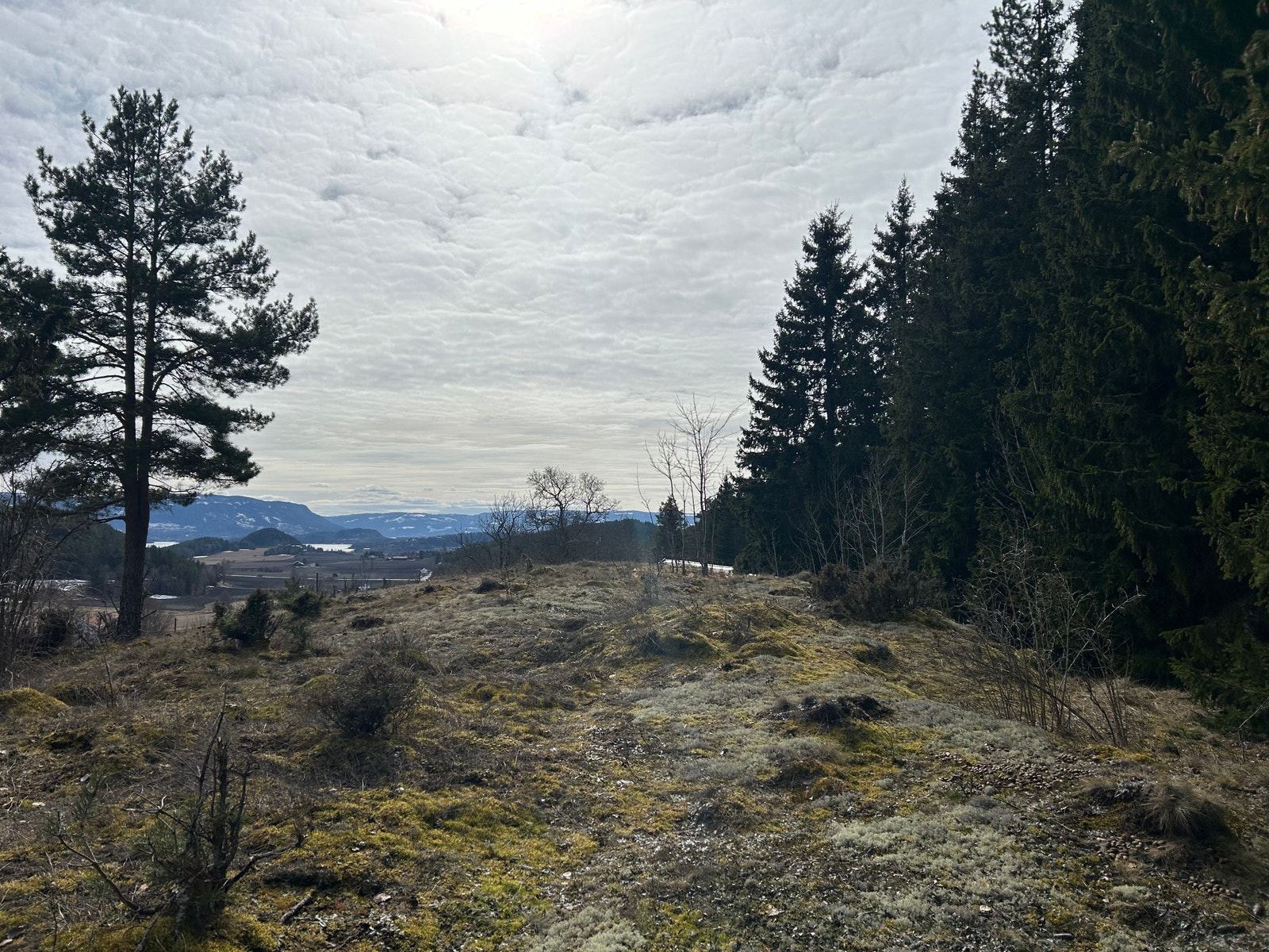 Nye bilder Galleribilde