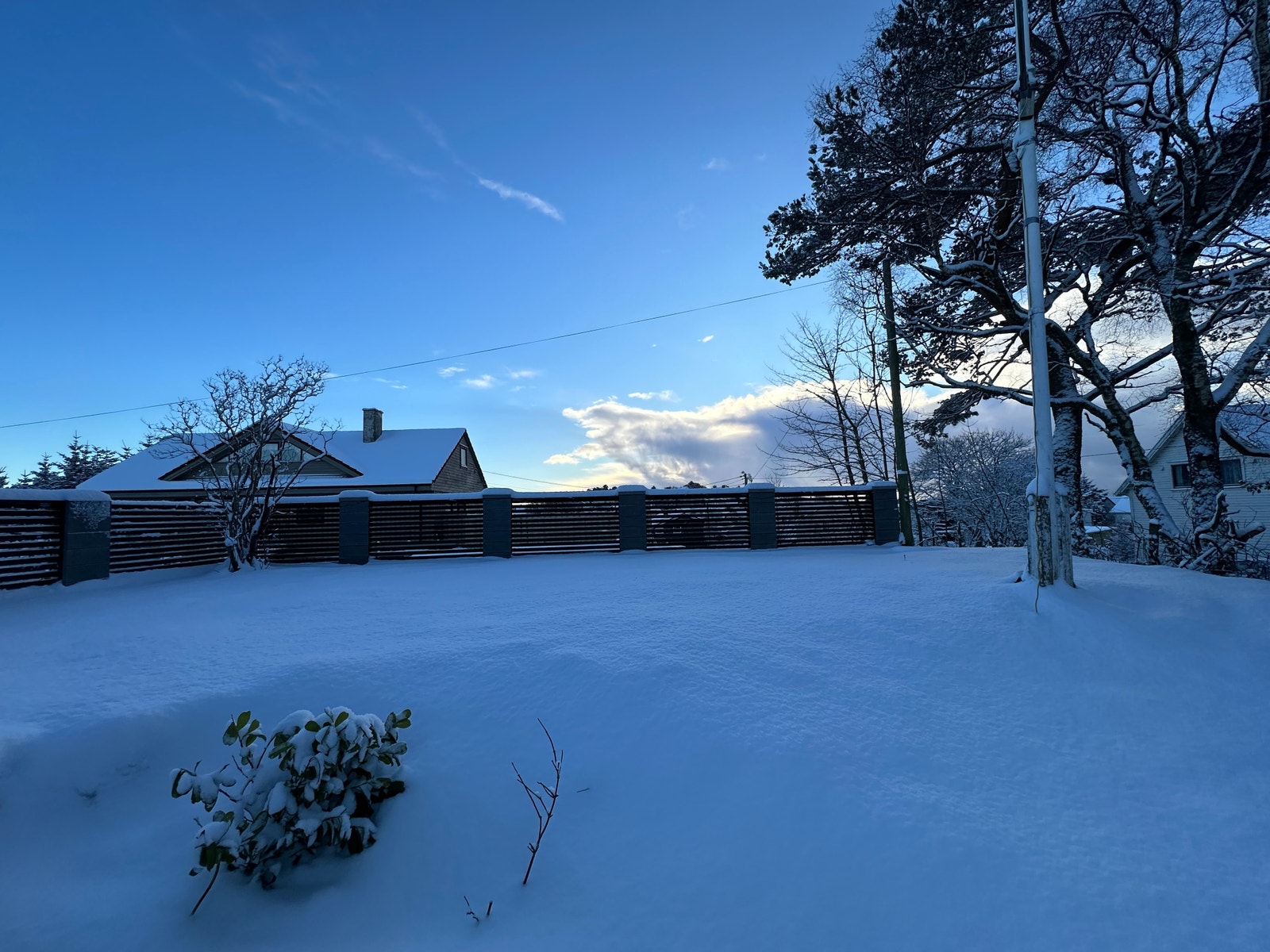 Hage framside Galleribilde