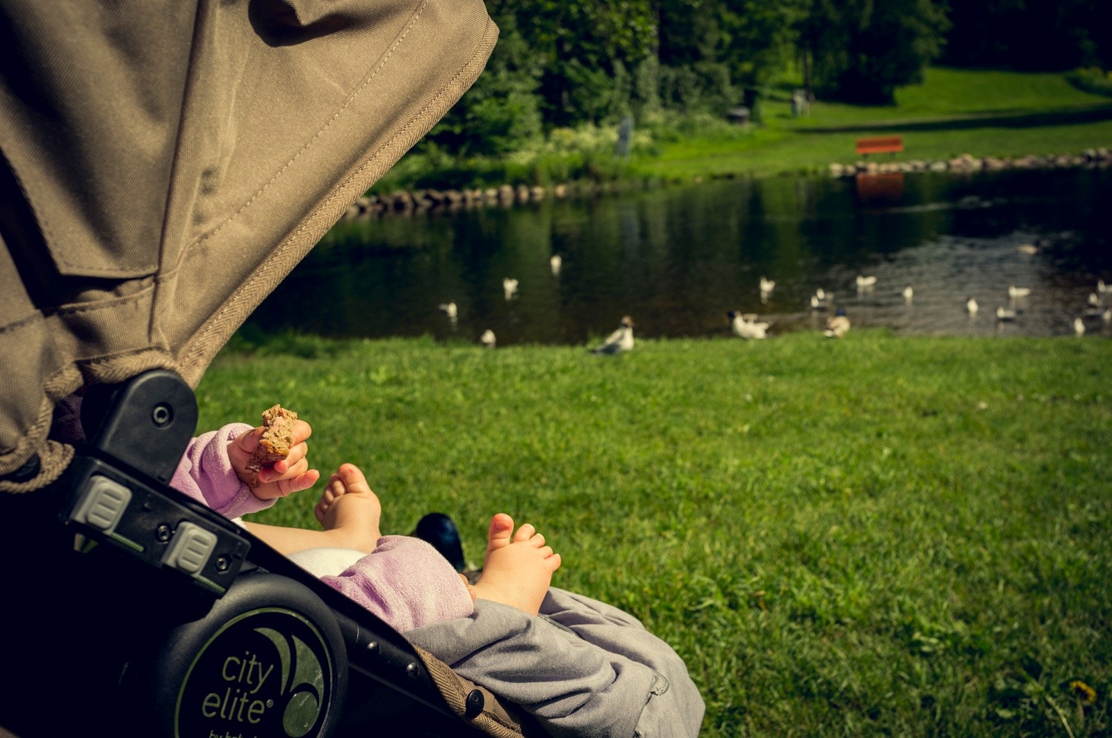 En kort spasertur fra prosjektet finner du Brekkedammen som er et yndet sted både for menneker og dyr Galleribilde