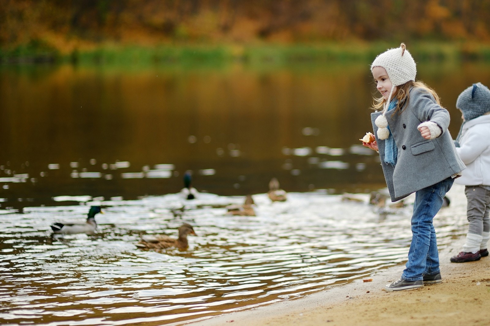 Moro å mate endene! Galleribilde
