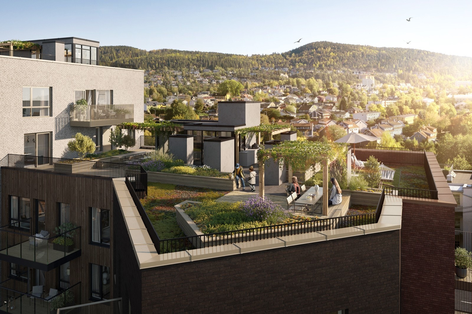 Flotte takterrasser på flere bygg som er tilgjengelig for alle som bor i Frysjatunet borettslag Galleribilde