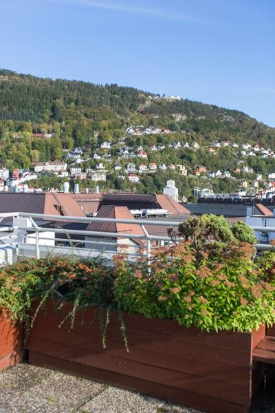 Takterrasse Galleribilde