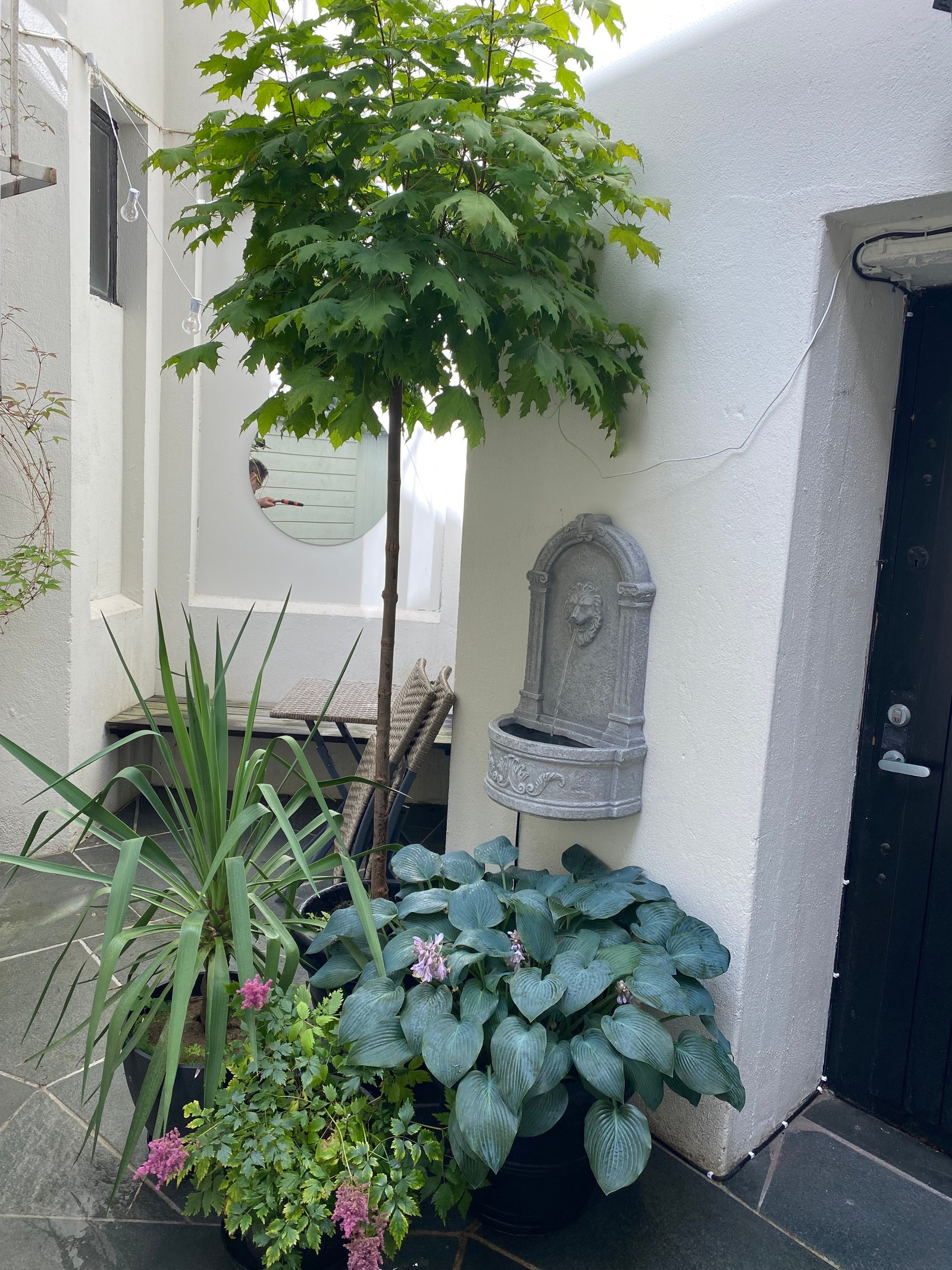 En liten lukket og koselig bakgård som er tilgjengelig for husets fem leiligheter. Galleribilde