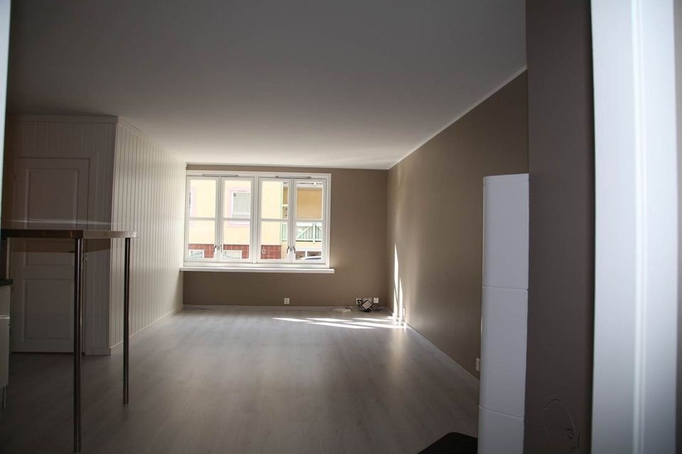 Stue Galleribilde