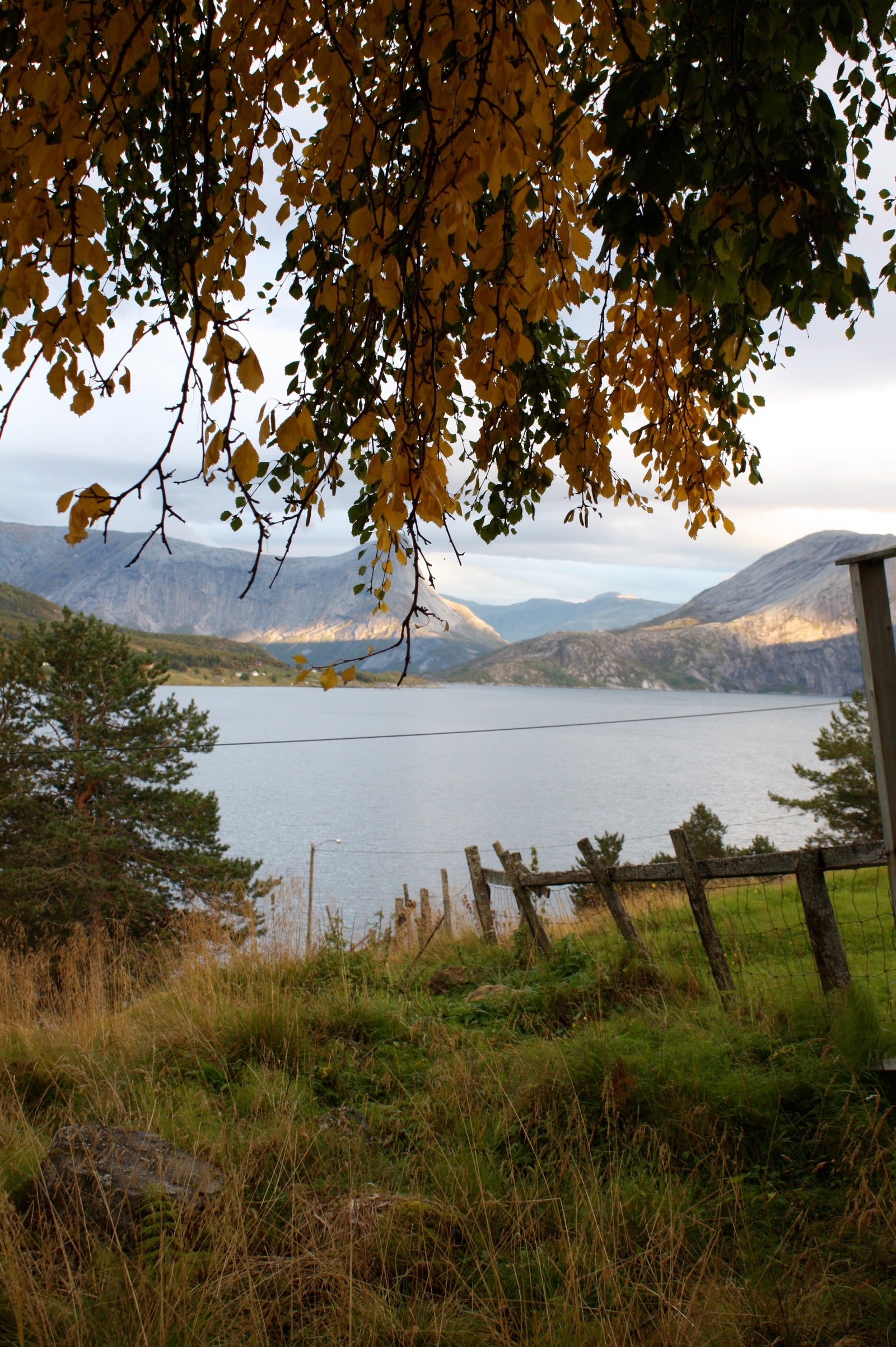 Fra eiendommen er det fantastisk utsikt med nydelige solforhold Galleribilde