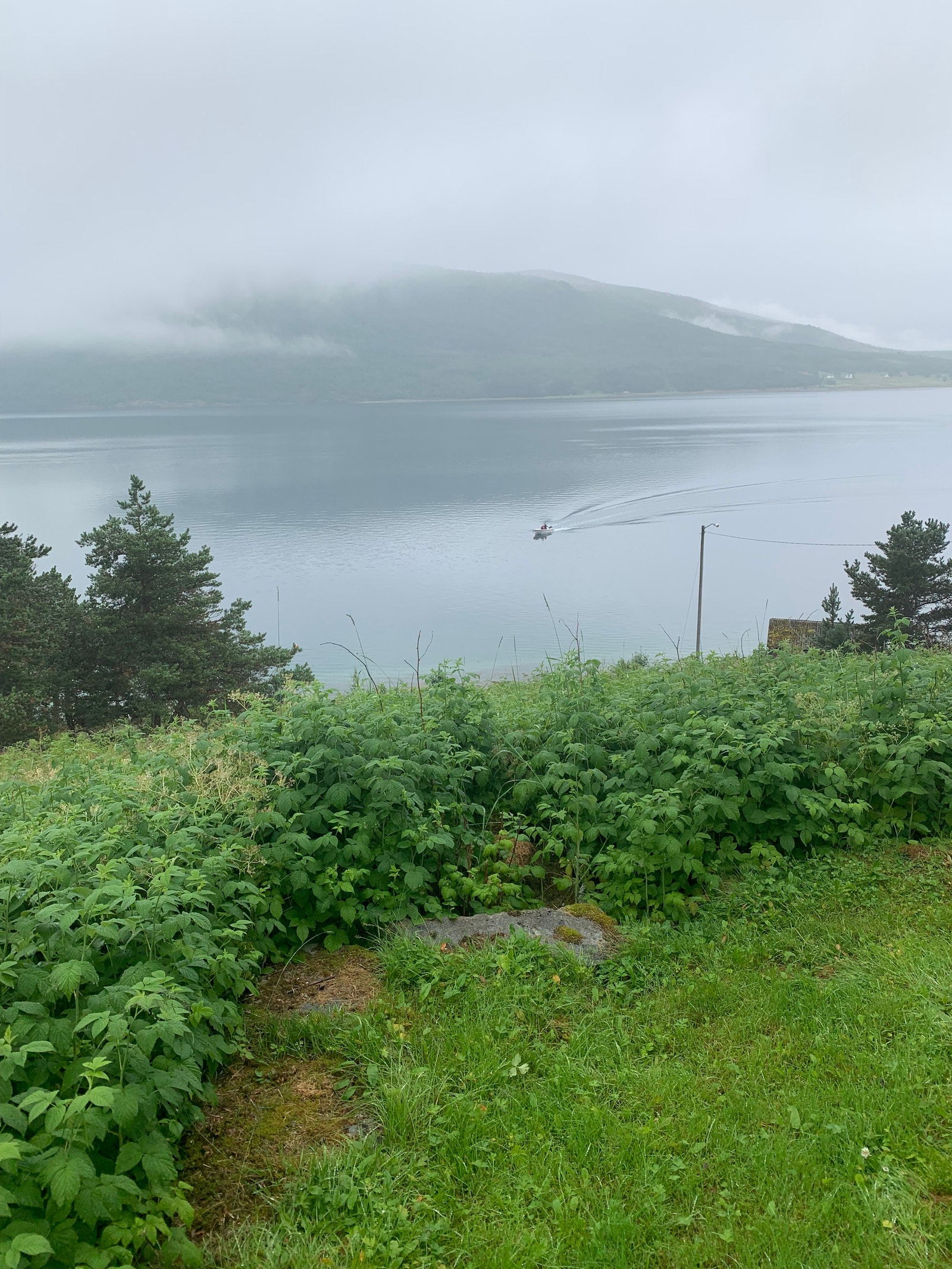 Frodig landskap som kan benyttes hele året. Galleribilde
