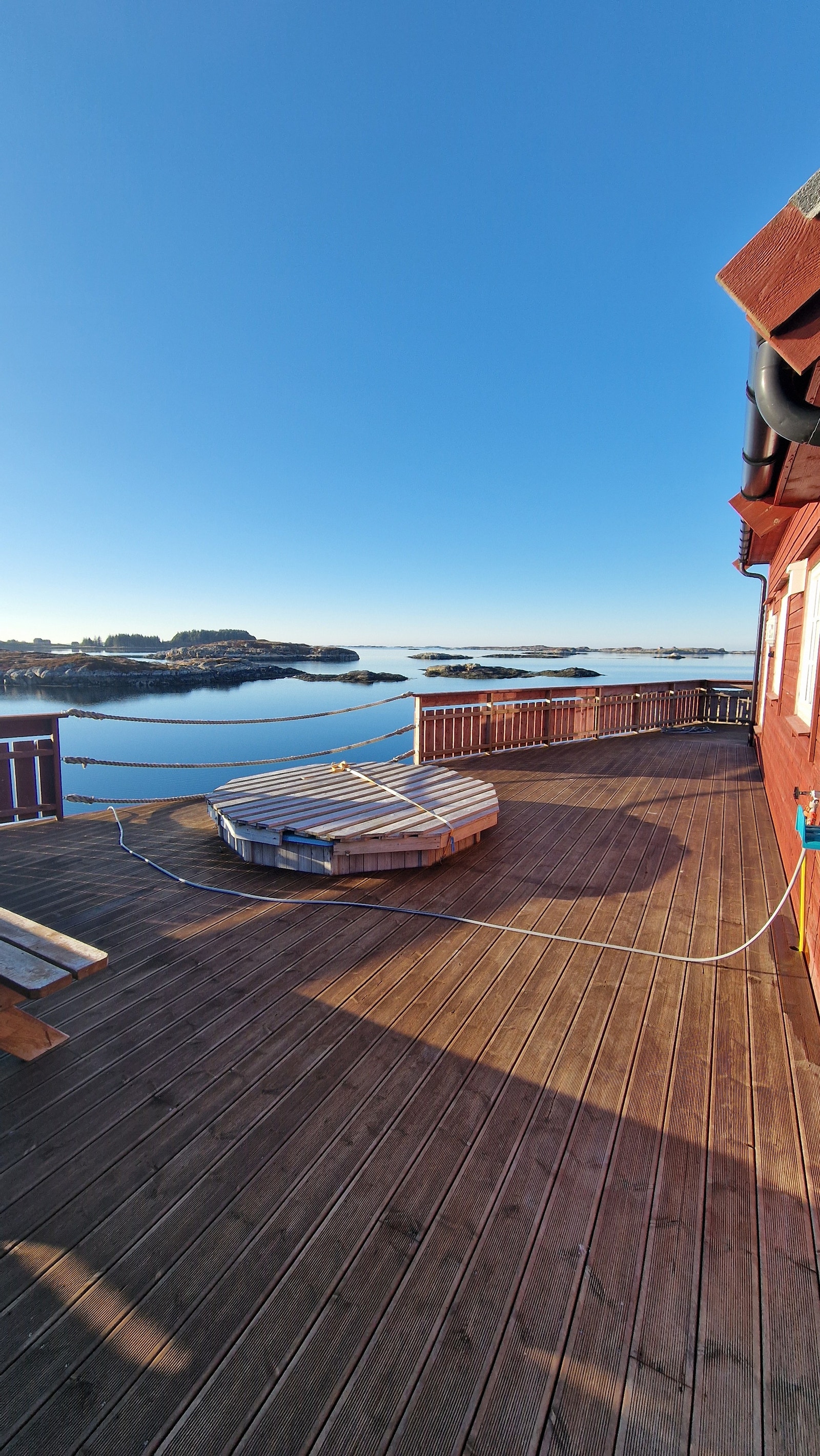 Vedfyrt stamp nedfelt i terrasse Galleribilde