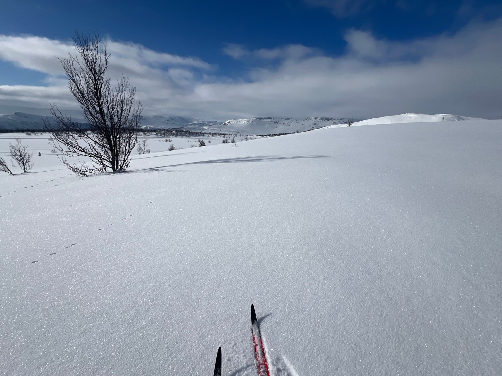 Uendelig med turmuligheter Galleribilde