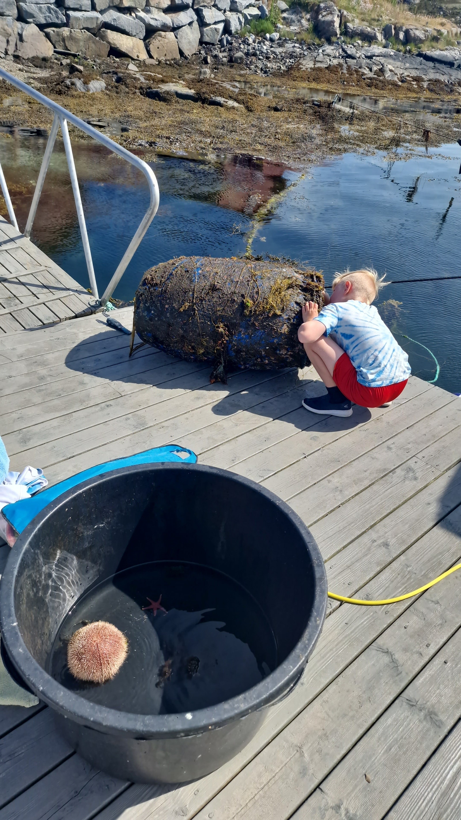 Mye spennende å finne! Galleribilde