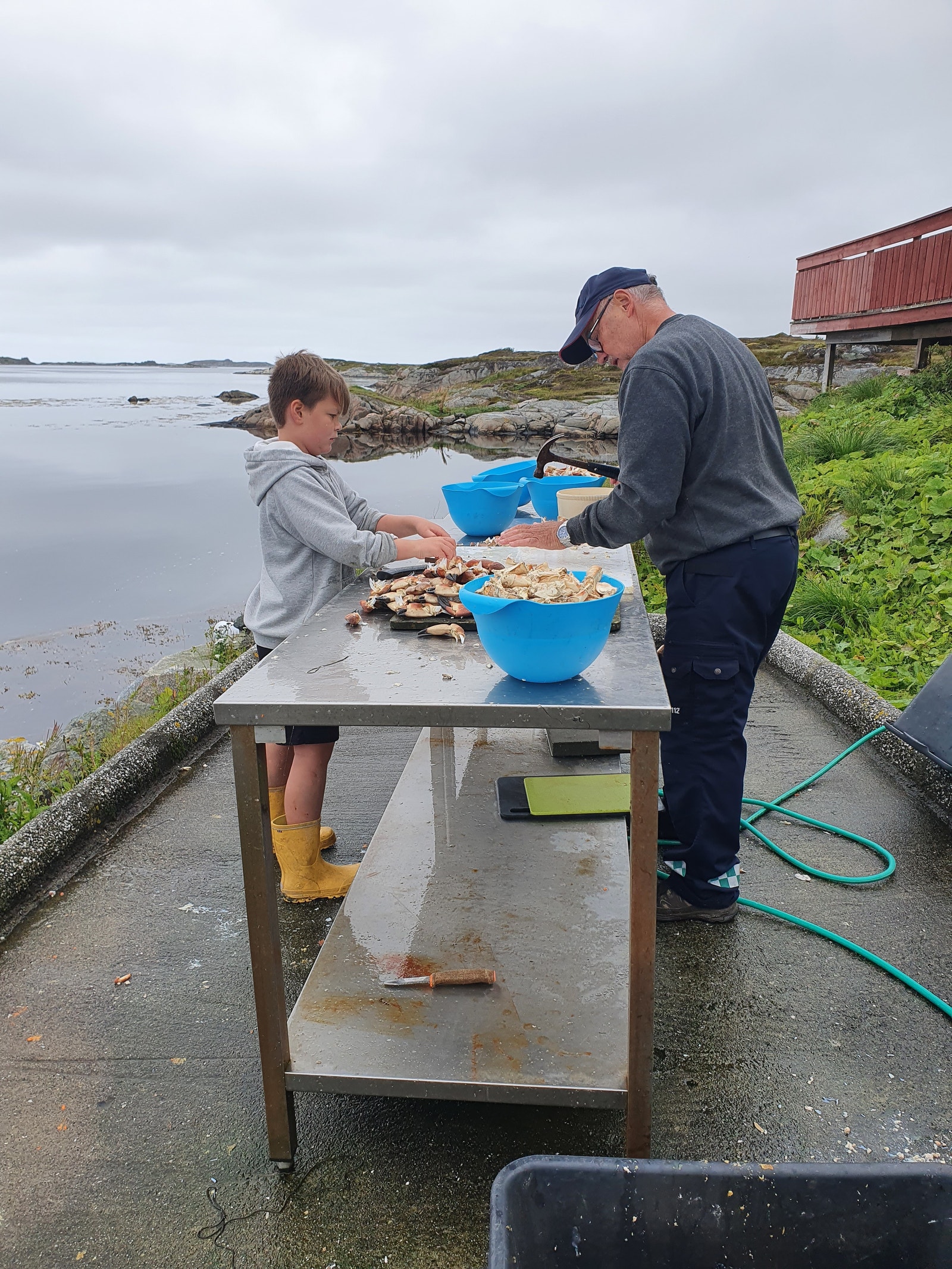 Nykokt krabbe. Galleribilde