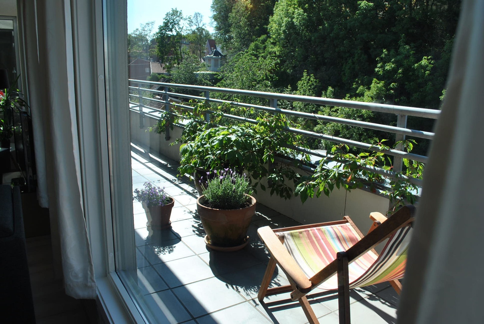 Ettermiddagssol Galleribilde