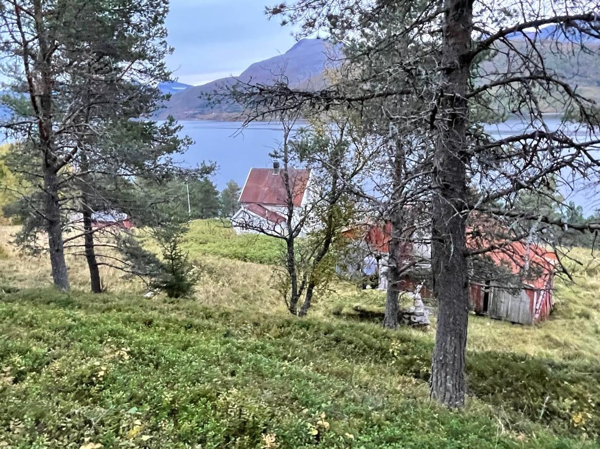 Eiendommen sett ovenfra. Galleribilde