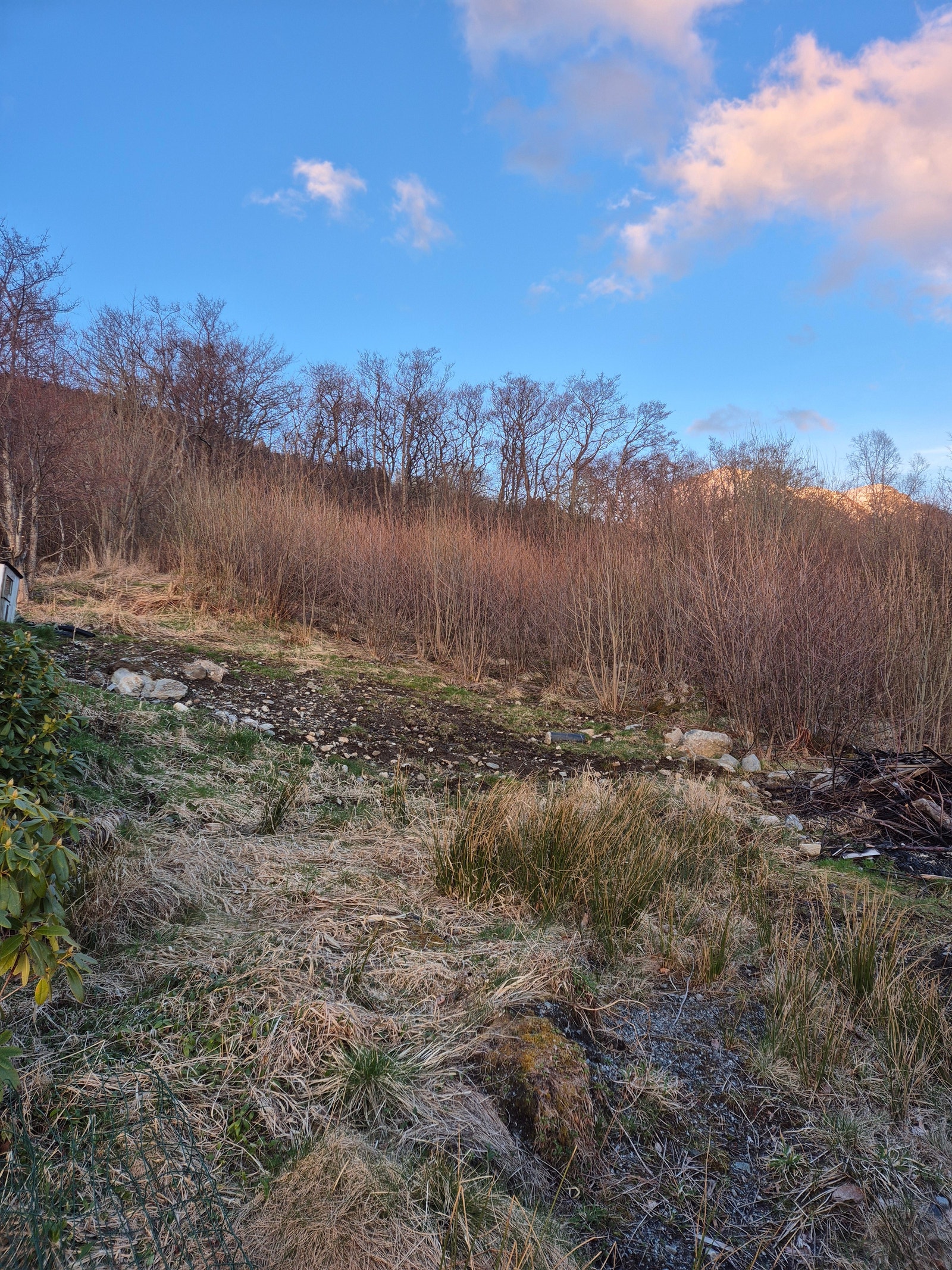 Tomten slik den fremstår i dag Galleribilde