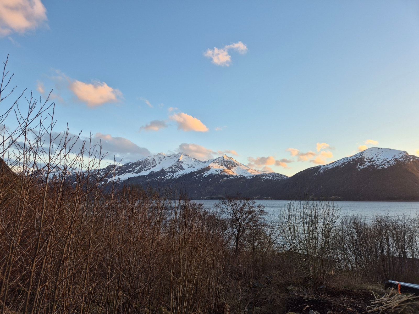 Utsikt fra tomten mot sørvest Galleribilde