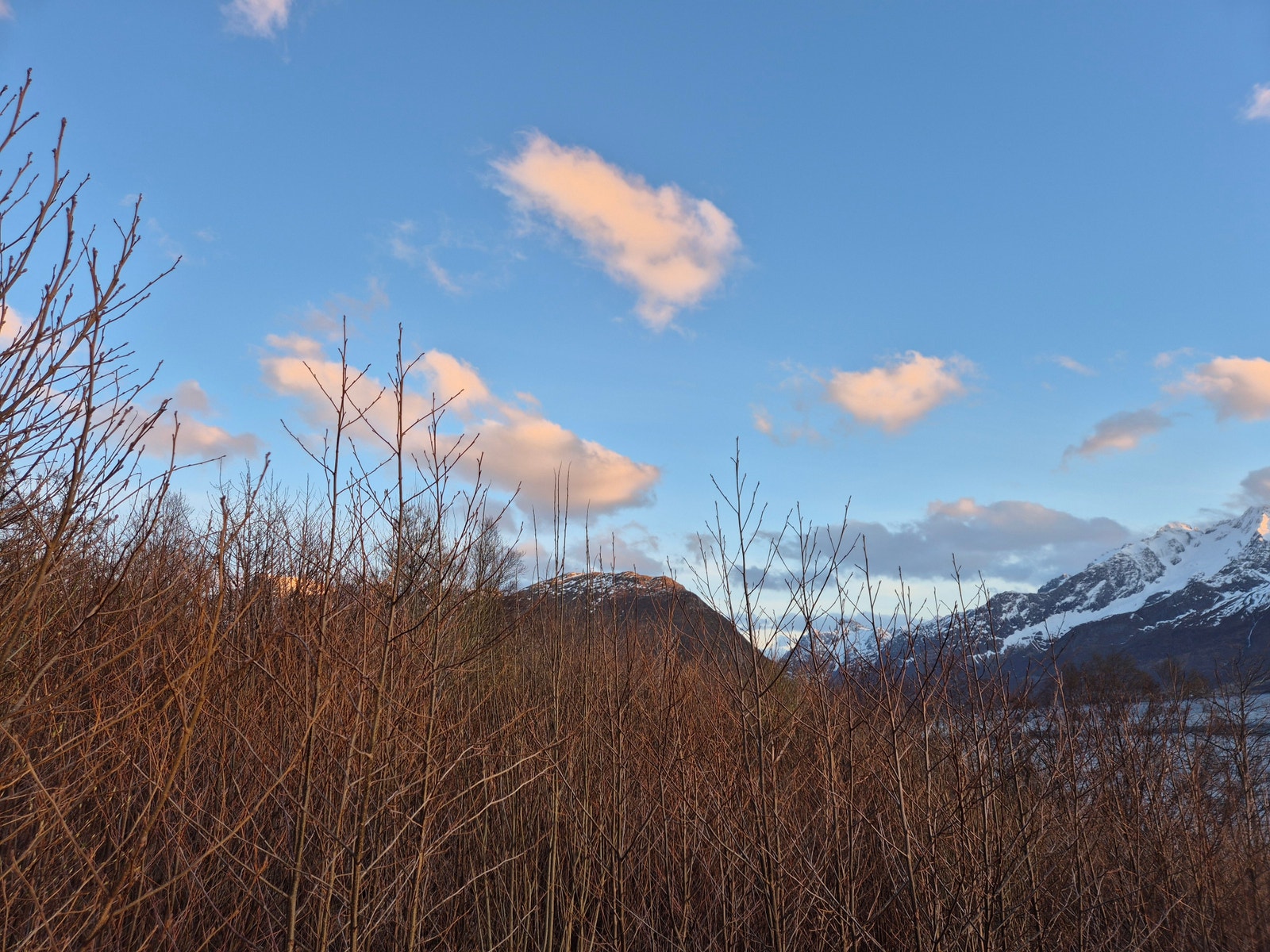 Utsikt fra tomten mot sørvest Galleribilde