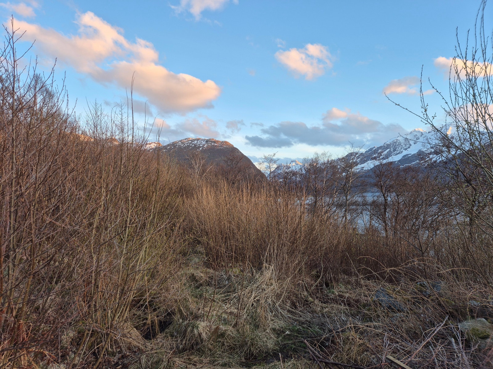 Utsikt fra tomten mot sør Galleribilde