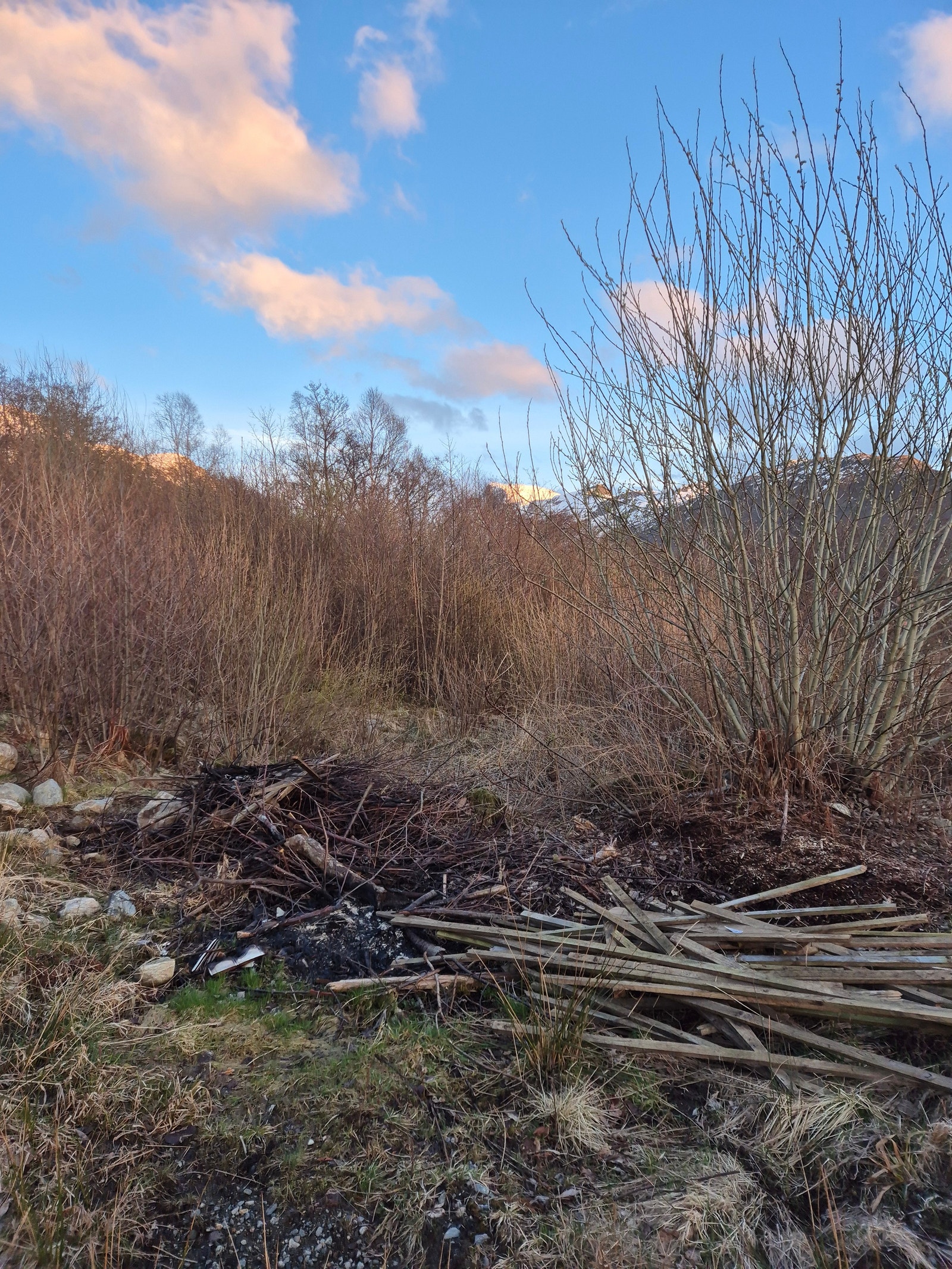 Utsikt fra tomten mot sør Galleribilde