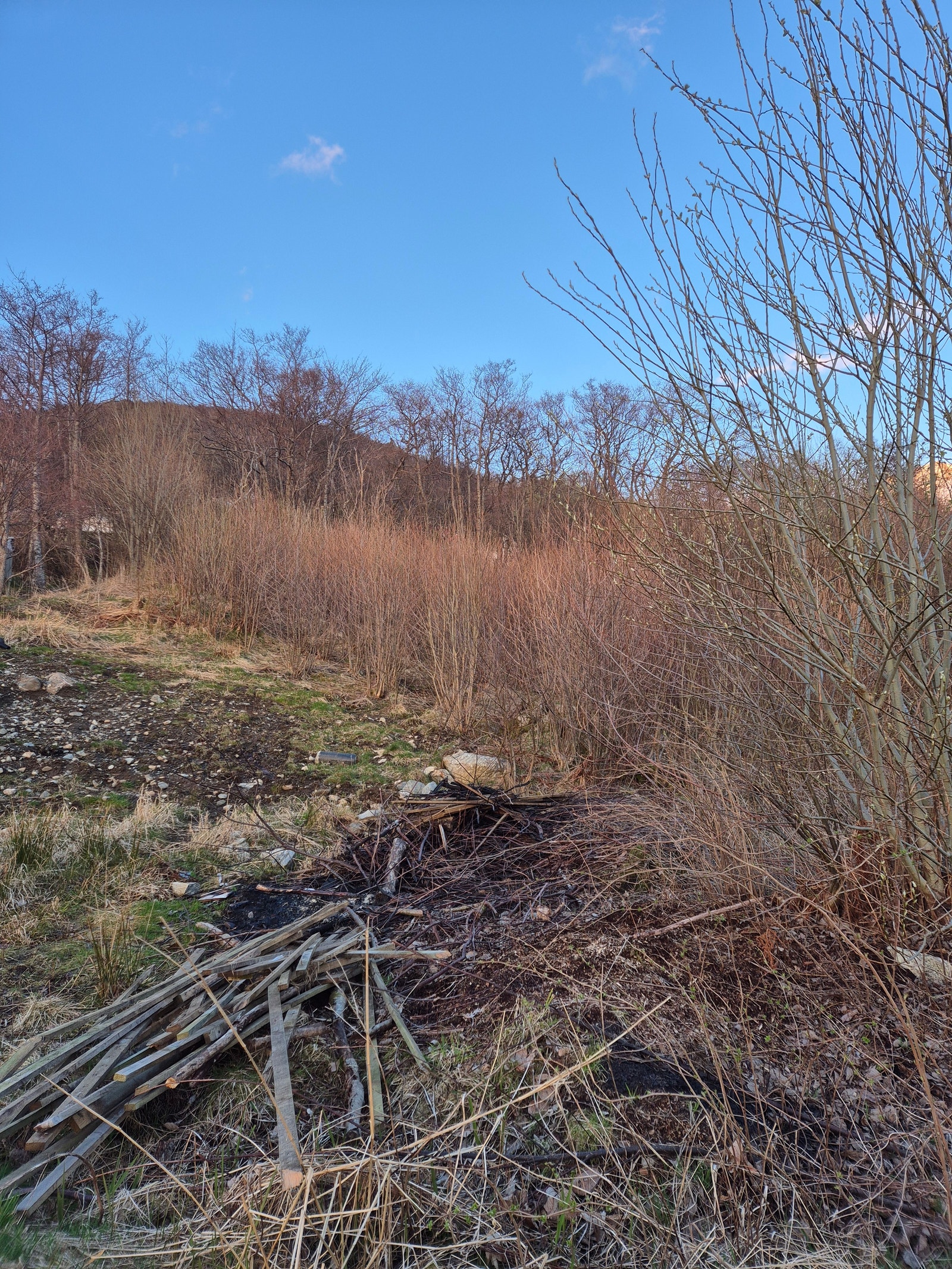 Tomten slik den fremstår i dag Galleribilde