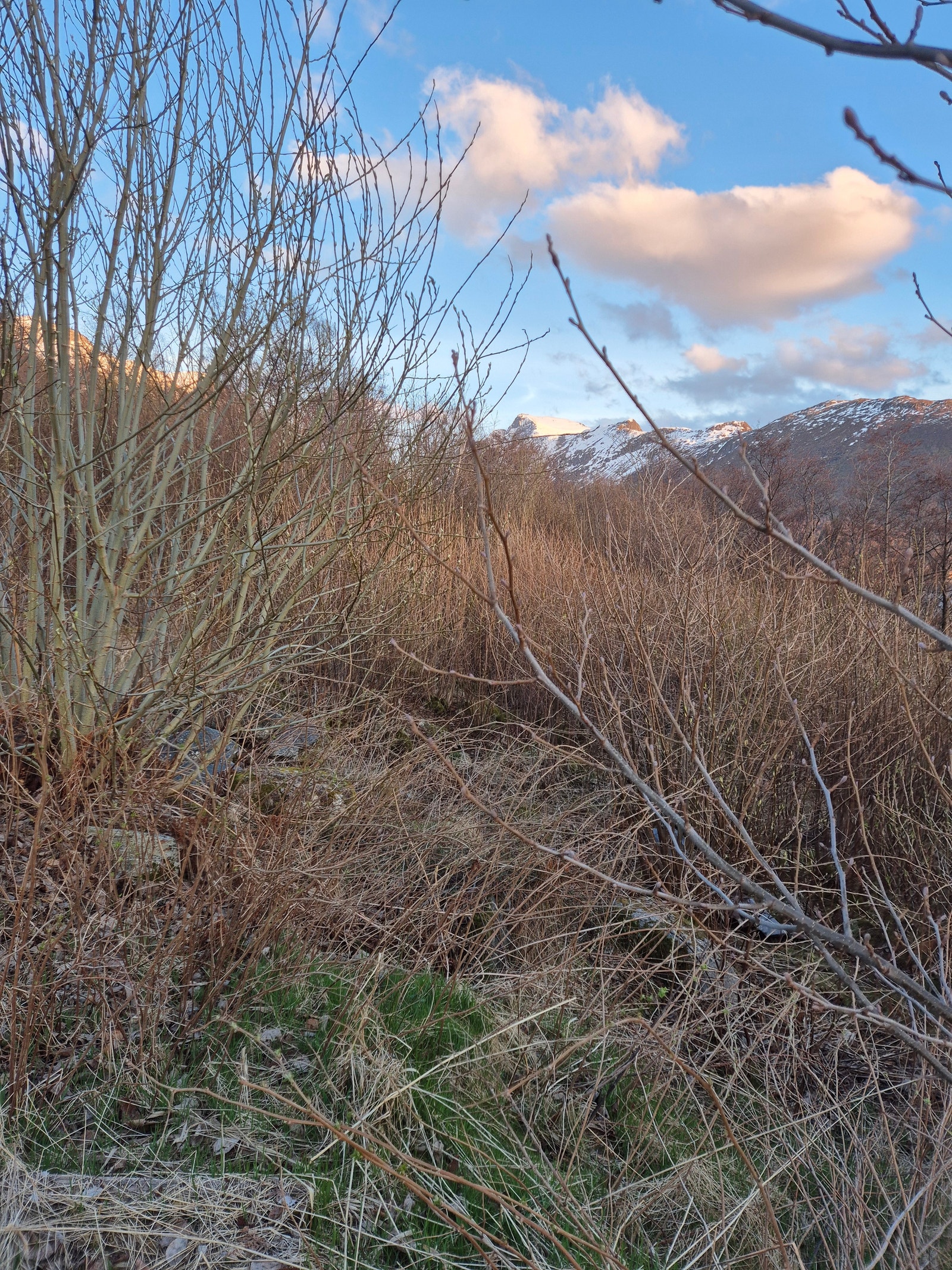 Tomten slik den fremstår i dag Galleribilde