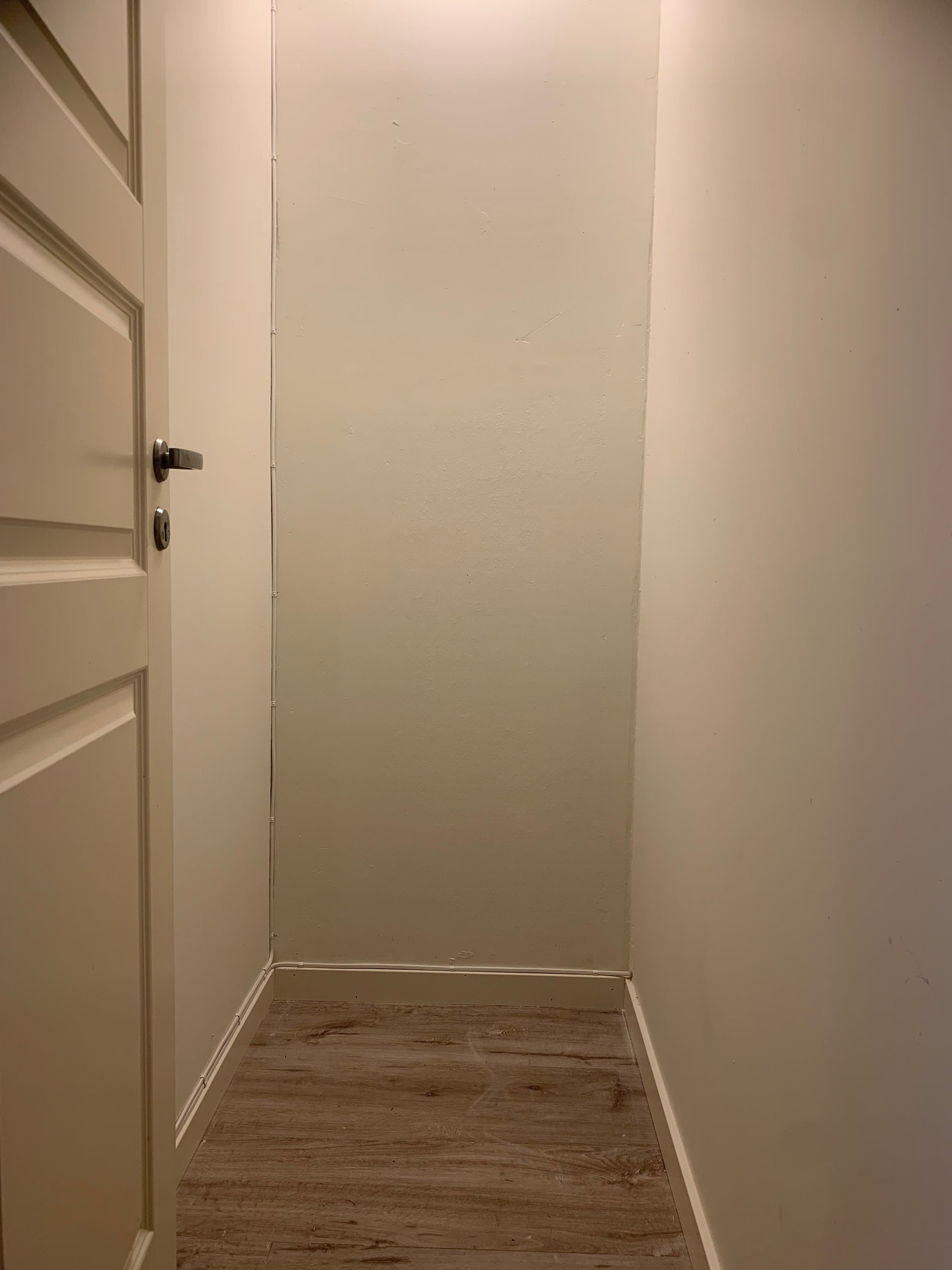 Bod/kott Galleribilde