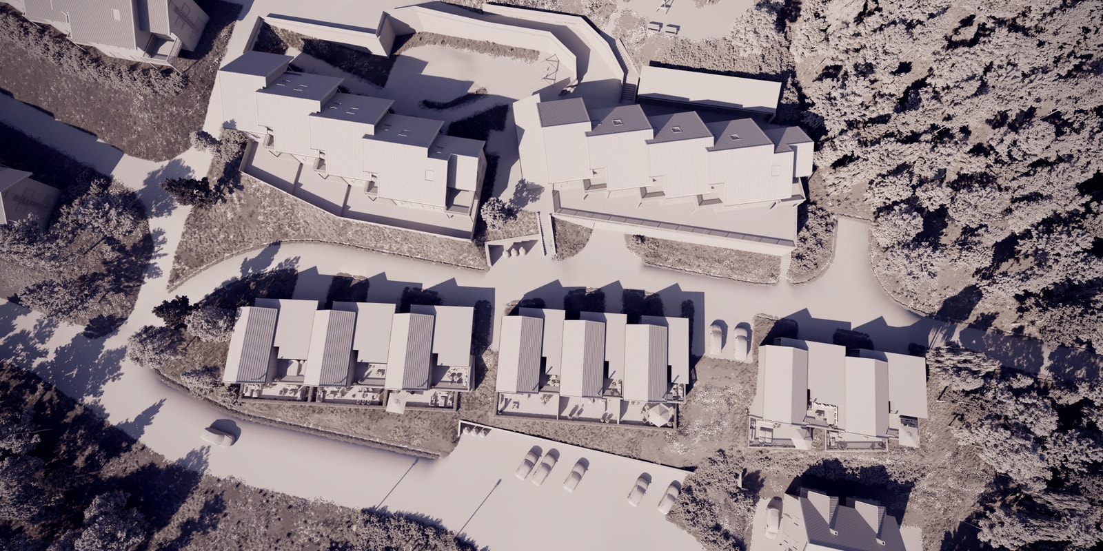 Solstudie tatt kl. 18.00 Juni. Galleribilde